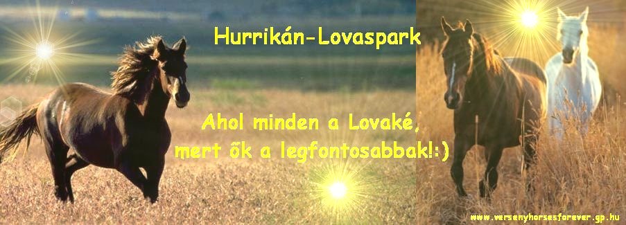 ~****Hurrikn-Lovaspark****~